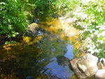 Multiple Culvert Crossing, Benson Brook at Benson Rd, Parsonsfield, Maine
