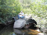 Multiple Culvert Crossing, Billfish Brook at Unnamed, T6 R8 WELS, Maine