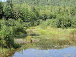Multiple Culvert Crossing, Billfish Brook at Unnamed, T6 R8 WELS, Maine