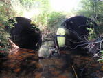 Multiple Culvert Crossing, Bird Brook at Emerson Rd, Norway, Maine