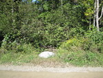 Multiple Culvert Crossing, Bithers Brook at Stagecoach Rd, Unity, Maine