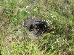Multiple Culvert Crossing, Bithers Brook at Stagecoach Rd, Unity, Maine