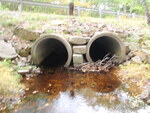 Multiple Culvert Crossing, Black Brook at Route 15, Sedgwick, Maine