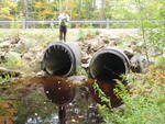 Multiple Culvert Crossing, Black Brook at Route 15, Sedgwick, Maine
