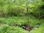 Multiple Culvert Crossing, Bog Brook at Goodwin Rd, Minot, Maine