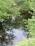 Multiple Culvert Crossing, Bog Brook at Katahdin Iron Works Rd, Ebeemee Twp, Maine