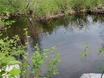 Multiple Culvert Crossing, Bog Brook at Kelley Hill Road, Stacyville, Maine
