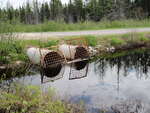 Multiple Culvert Crossing, Bog Brook at Kelley Hill Road, Stacyville, Maine