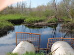 Multiple Culvert Crossing, Bog Brook at Kelley Hill Road, Stacyville, Maine