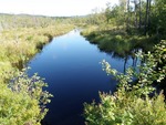 Multiple Culvert Crossing, Bog Brook at Main St, Sumner, Maine