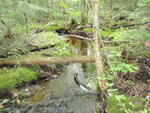 Multiple Culvert Crossing, Bog Brook at Sebec Shore Rd, Guilford, Maine