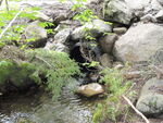 Multiple Culvert Crossing, Bog Brook at Sebec Shore Rd, Guilford, Maine