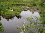Multiple Culvert Crossing, Bog Brook at Shur Road, Crystal, Maine