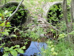 Multiple Culvert Crossing, Boot Swamp Brook at I-95, Sherman, Maine