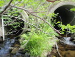 Multiple Culvert Crossing, Boot Swamp Brook at I-95, Sherman, Maine