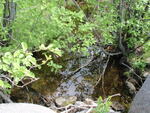 Multiple Culvert Crossing, Boot Swamp Brook at I-95, Sherman, Maine