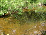 Multiple Culvert Crossing, Boot Swamp Brook at I-95, Sherman, Maine