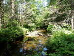 Multiple Culvert Crossing, Bottle Brook at Back Belmont Rd, Belmont, Maine