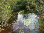 Multiple Culvert Crossing, Brady Brook at Route 155 / Hammet Rd, Enfield, Maine