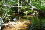Multiple Culvert Crossing, Branch Brook at Main St, Sanford, Maine