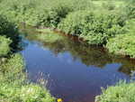 Multiple Culvert Crossing, Brown Brook at Back Rd, Abbot, Maine