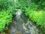 Multiple Culvert Crossing, Brown Brook at Between The Ponds Rd, Parsonsfield, Maine