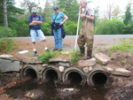 Multiple Culvert Crossing, Bubble Brook at Carriage Rd, Bar Harbor, Maine