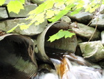 Multiple Culvert Crossing, Bunker Stream at Blanchard Rd Shirley Rd, Shirley, Maine