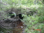 Multiple Culvert Crossing, Chops Creek at Milt Carlton Rd, Woolwich, Maine