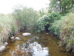 Multiple Culvert Crossing, Clarks Brook at Bog Rd, New Portland, Maine