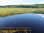 Multiple Culvert Crossing, Clarks Brook at Gilman Pond Rd, New Portland, Maine