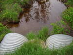 Multiple Culvert Crossing, Clements Brook at New Road, Penobscot, Maine