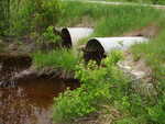 Multiple Culvert Crossing, Clements Brook at New Road, Penobscot, Maine