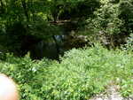 Multiple Culvert Crossing, Cool Brook at Goodwin Rd, Minot, Maine