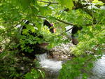 Multiple Culvert Crossing, Cool Brook at Pottle Hill Rd, Minot, Maine