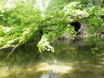 Multiple Culvert Crossing, Cool Brook at Pottle Hill Rd, Minot, Maine