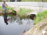 Multiple Culvert Crossing, Costigan Brook at Greenfield Road, Milford, Maine