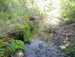 Multiple Culvert Crossing, Curtis Brook at Maxwell Rd, Sabattus, Maine