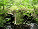 Multiple Culvert Crossing, Davis Brook at Tannery Rd, Lowell, Maine
