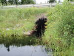 Multiple Culvert Crossing, Dennin Brook at Route 6 & 15, Shirley, Maine