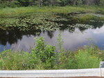Multiple Culvert Crossing, Douglas Brook at Dingley Spring Rd, Gorham, Maine