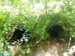Multiple Culvert Crossing, Dutton Hills Brook at Falmouth Rd, Windham, Maine