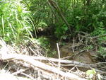 Multiple Culvert Crossing, Dutton Hills Brook at Falmouth Rd, Windham, Maine