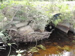 Multiple Culvert Crossing, E. Branch Mud Brook at Swift Brook Rd, T3 R7 WELS, Maine