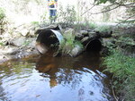 Multiple Culvert Crossing, E. Branch Mud Brook at Swift Brook Rd, T3 R7 WELS, Maine