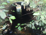 Multiple Culvert Crossing, East Branch Chandler Brook at Brown Rd, Pownal, Maine
