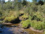Multiple Culvert Crossing, East Branch Swift Brook at Happy Corner Rd., Patten, Maine