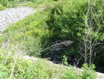 Multiple Culvert Crossing, Fall Brook at Washington Ave, Portland, Maine