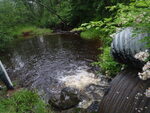 Multiple Culvert Crossing, Files Brook at Wood Rd, Gorham, Maine