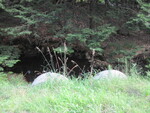 Multiple Culvert Crossing, Fly Brook at Hunter Rd, Unity, Maine